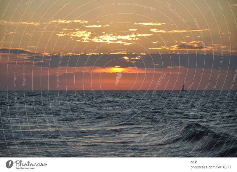 Sonnenuntergang mit Segelschiff | verträumte Abendstimmung an der Ostsee Meer Wasser Sommer Ferien & Urlaub & Reisen Himmel Wellen Erholung Natur Küste Sand