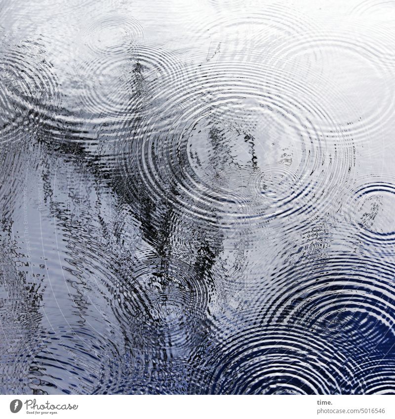 NordARTer | Kreistanz Wasser Wellen Regentropfen Kreise Oberfläche Reflexion & Spiegelung Teich Muster Tropfen regnerisch Natur nass Wassertropfen glänzend