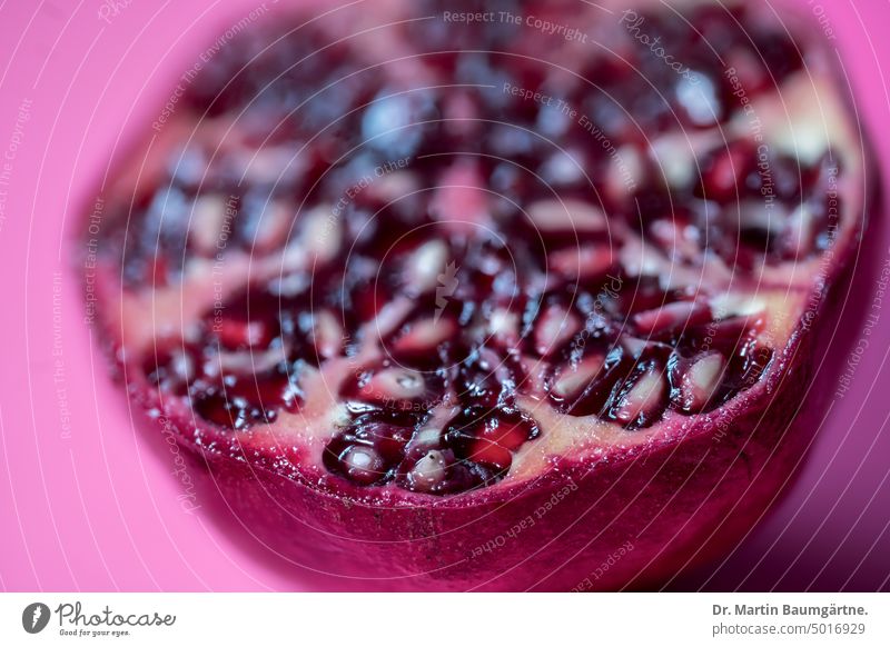 Granatapfel, aufgeschnitten halbiert Samen Fruchtfleisch Punica granatum Speise Zutat Essen Nahaufnahme geringe Tiefenschärfe menschenleer rot saftig