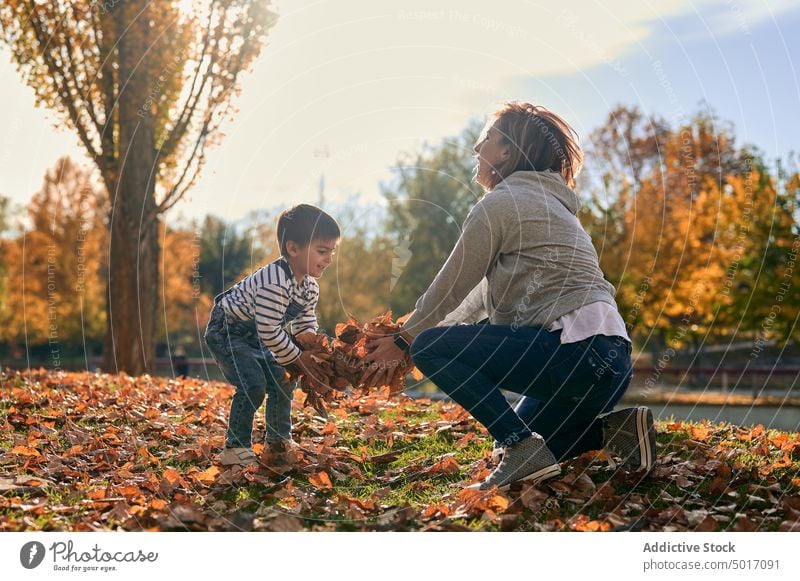 Zufriedene Mutter und Kind verbringen Zeit im Park Herbst Zeit verbringen Sohn spielen Zusammensein Eltern Mutterschaft fallen Kindheit Liebe wenig Familie