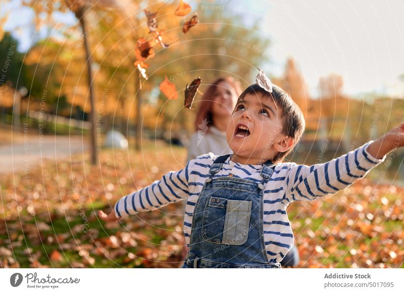 Nettes Kind spielt mit Blättern im Herbst Park werfen Blatt Laubwerk spielen fallen Spaß haben Spiel Junge heiter Glück niedlich Kindheit Natur wenig Freude
