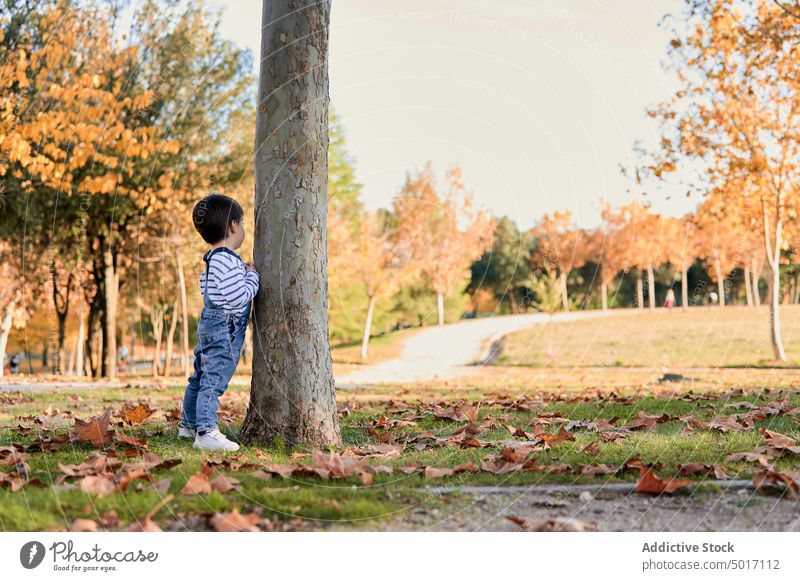 Kleiner Junge steht in der Nähe von Baum im Park Kind Herbst fallen wenig Kindheit bezaubernd Garten Natur niedlich Saison ruhen idyllisch ruhig fettarm