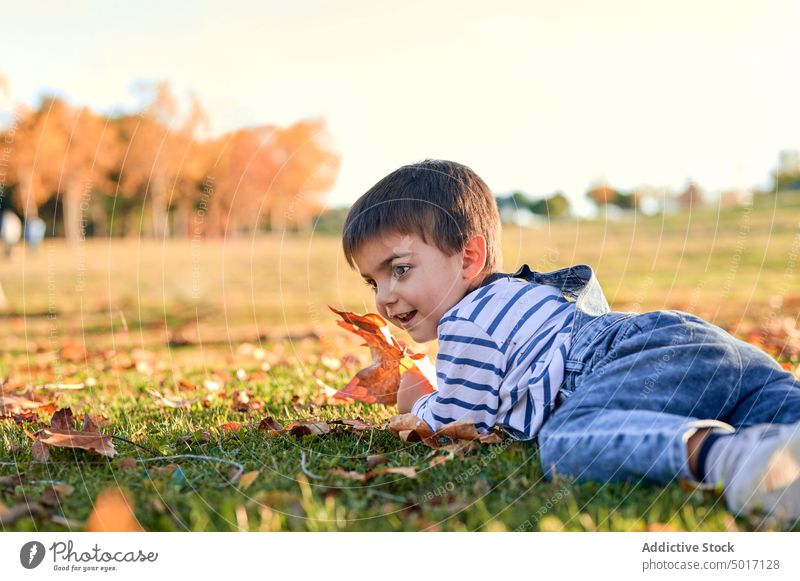 Glückliches Kind auf einer Wiese im Park liegend Herbst Junge Laubwerk Lügen fallen niedlich Natur Saison heiter Blatt wenig sorgenfrei sich[Akk] entspannen