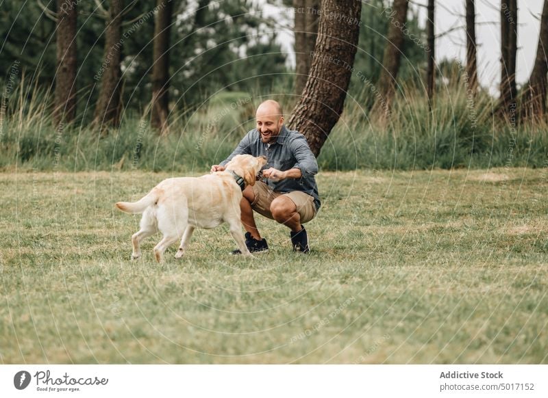 Mann hält Stock und spielt mit Hund kleben springen Spiel spielerisch Park Spaß Glück Haustier Natur grün Tier Labrador heimisch Retriever freudig Zusammensein