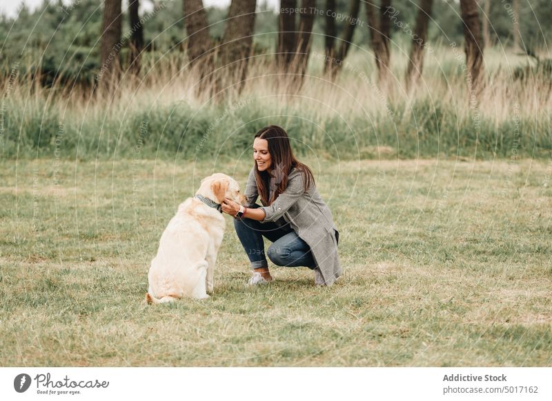 Frau gibt ihrem Hund ein Leckerli Leckerbissen Spiel spielerisch Park Spaß Glück Haustier Natur grün Tier Labrador heimisch Retriever freudig Zusammensein