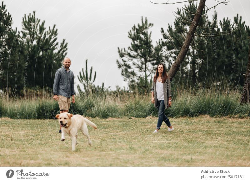 Mann und Frau spielen mit Hund im Park kleben springen Spiel spielerisch Spaß Glück Haustier Natur grün Tier Labrador heimisch Retriever freudig Zusammensein