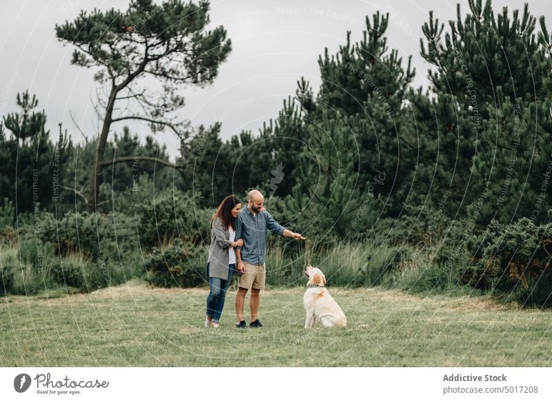 Mann und Frau halten einen Stock und spielen mit einem hochspringenden Hund kleben Spiel spielerisch Park Spaß Glück Haustier Natur grün Tier Labrador heimisch