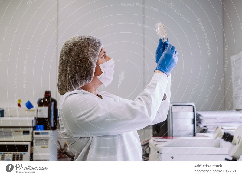 Frau arbeitet mit Petrischalen im Labor Agar Technik & Technologie Infektion Kolonie Techniker Wissenschaftler Handschuh Probe Krankheit Keime Pilze Medien
