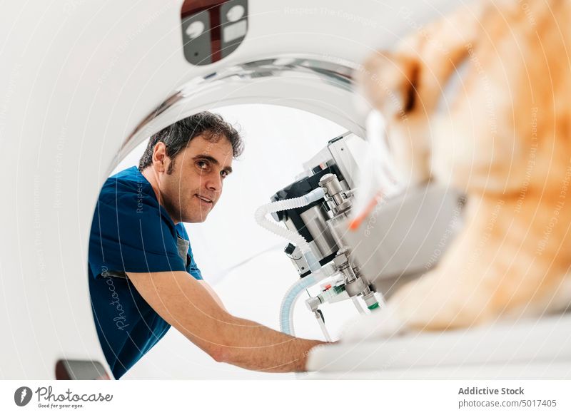 Tierarzt bei der Vorbereitung eines Hundes für eine Tomographieuntersuchung in der Klinik Mann Veterinär Arzt Uniform Spezialist Leckerbissen Krankenhaus Pflege