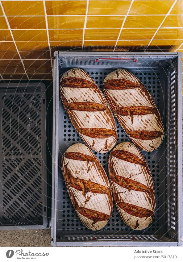 Frisches Brot im Plastikbehälter Brotlaib frisch Container Bäckerei lecker Lebensmittel geschmackvoll gebacken organisch Ernährung Mahlzeit Kunststoff Gebäck