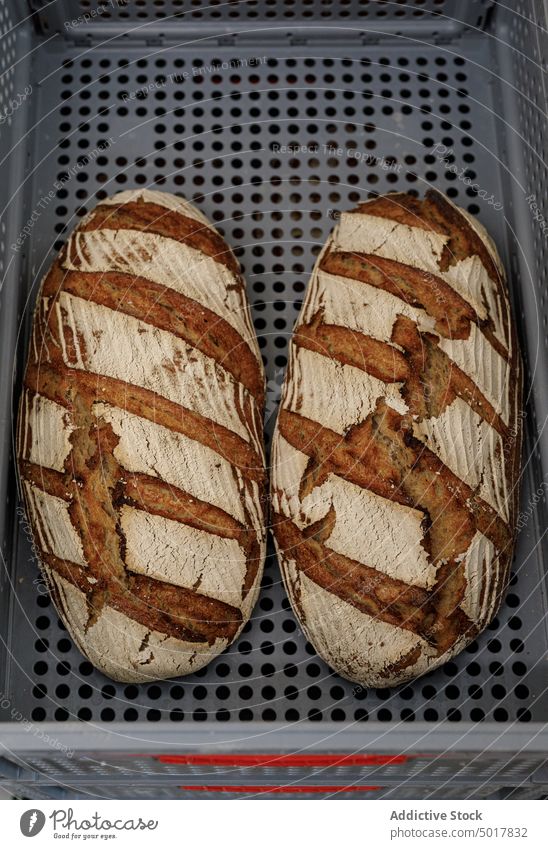 Frisches Brot im Plastikbehälter Brotlaib frisch Container Bäckerei lecker Lebensmittel geschmackvoll gebacken organisch Ernährung Mahlzeit Kunststoff Gebäck