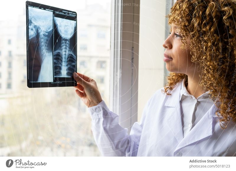 Ethnischer Arzt bei der Analyse eines Röntgenbildes der Wirbelsäule in einer Klinik analysieren Bild Rückgrat Röntgenaufnahme achtsam Frau Büro Porträt