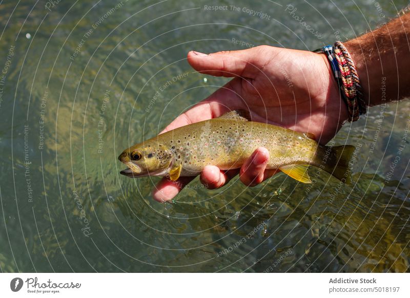 Anonymer Fischer Mann mit einem Fisch in der Hand in einem Bergfluss Fluss Person Wasser Erholung Sport Aktivität Natur fangen Fischen Berge u. Gebirge Sommer
