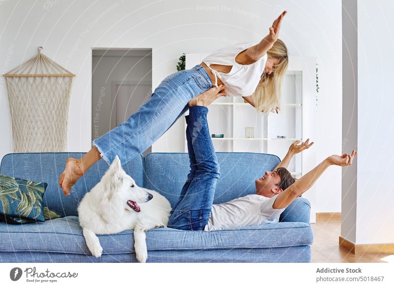 Glückliches Paar hat Spaß auf dem Sofa zu Hause Spaß haben heben heimwärts heiter Zusammensein Hund Liege positiv Partnerschaft weißer Schweizer Schäferhund