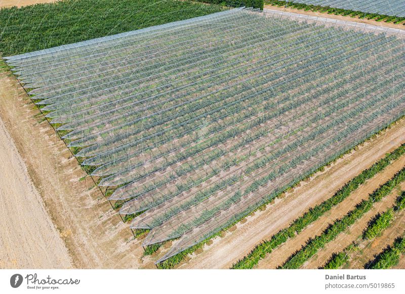 Hagelnetz über Apfel- und Birnbäumen aus der Luft - Hintergrund Ackerbau Gurt Kompost Bauernhof Landwirtschaft Futter Düngemittel Feld Frucht Garten grün