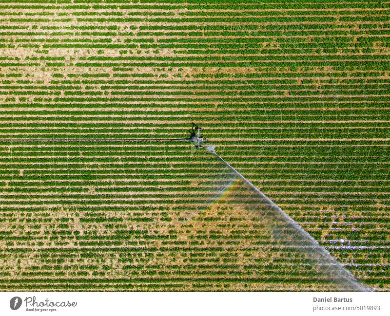 Luftaufnahme einer Drohne von einem Feld, das mit einem leistungsstarken Bewässerungssystem bewässert wird. landwirtschaftlich Ackerbau Hintergrund botanisch