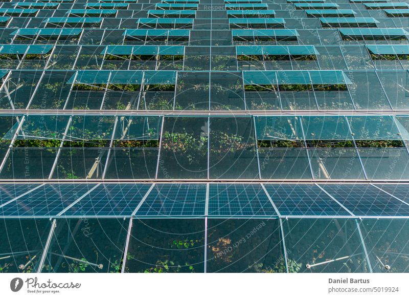 Gewächshaus für den Gemüseanbau mit montierten Fotovoltaikpaneelen 1080 1920 alternativ blau Zelle Sauberkeit Erhaltung Ökologie elektrisch Elektrizität Energie