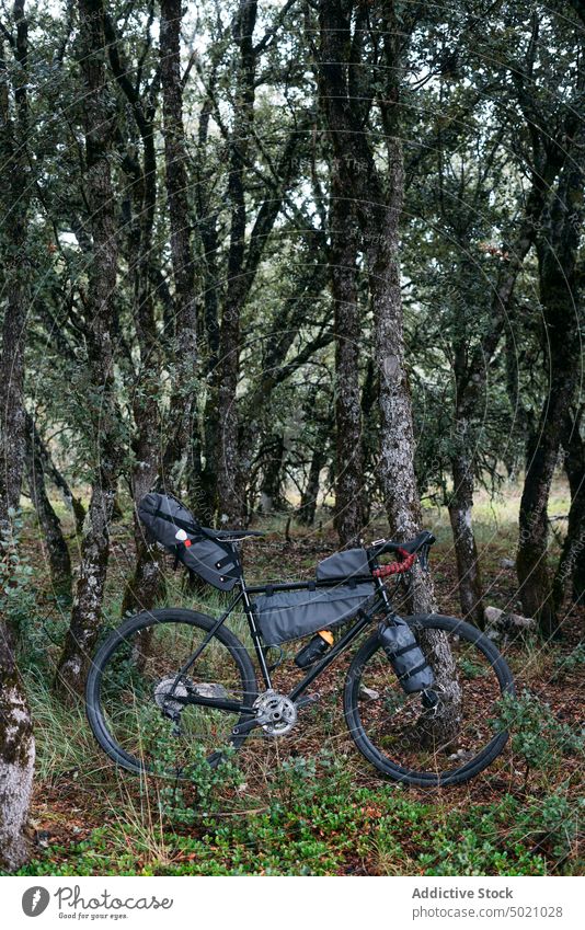 Fahrrad auf grüner Wiese am hellen Tag an Bäume gelehnt warm Abenteuer Natur Radfahrer Sport Lifestyle Geschwindigkeit Mitfahrgelegenheit Wald Gesundheit