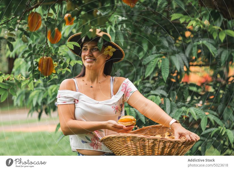 Fröhliche Frau bei der Ernte von Sternfrüchten Karambole Baum Garten Lächeln Gärtner Sommer reif pflücken frisch heiter Frucht Pflanze Glück hispanisch ethnisch