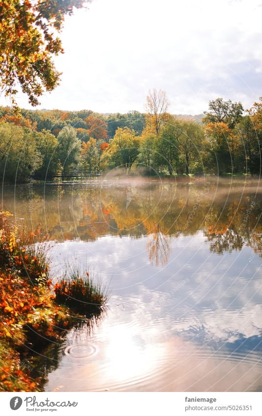 Morgenstimmung im Wald weiher warm Sonne sonnig herbst Herbstlaub warme farben orange Dunst Nebel sehen