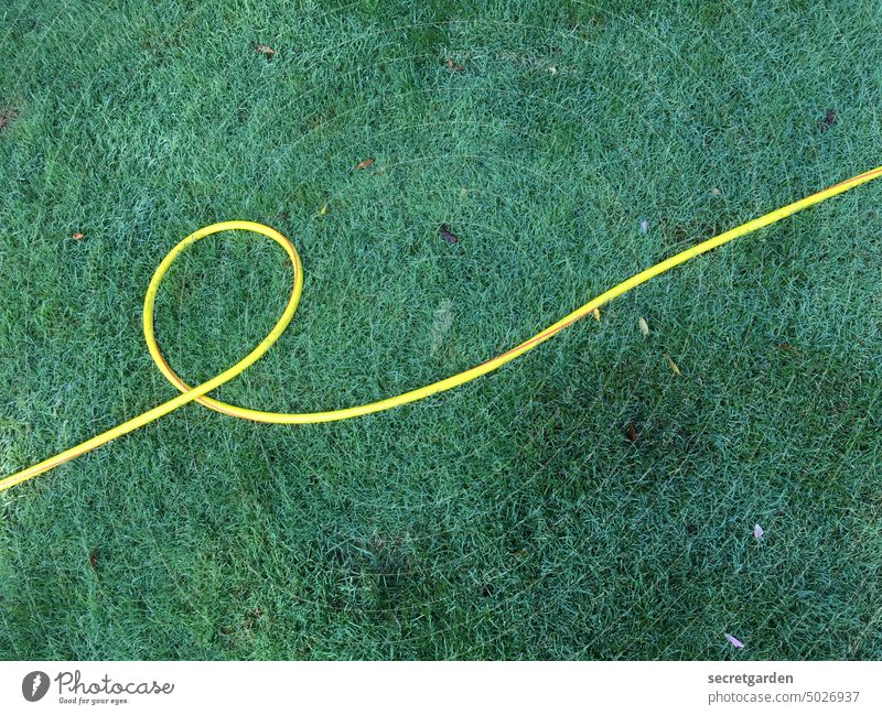 naturverbunden | voll geschlaucht Rasen minimalistisch grün gelb Gras Wiese Sommer Frühling Natur Außenaufnahme Pflanze Garten Menschenleer Farbfoto Schlauch