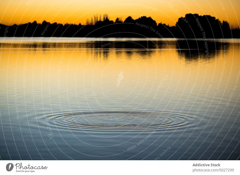 Plätscherndes Wasser bei Sonnenuntergang Fluss Ufer aqua Natur Wasserseite Flussufer Rippeln Abend Baum Consuegra fließen Spanien Europa Toledo Küste