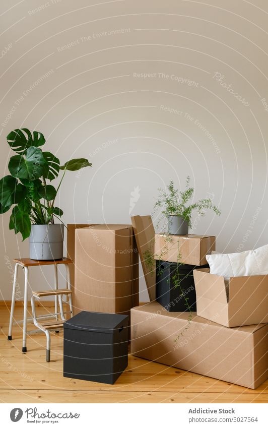 Verschiedene Gegenstände in einer Ecke eines hellen Zimmers während des Umzugs Kasten Schachtel Pflanze Topf Eckstoß Raum verlegen Zugehörigkeit Laufmasche