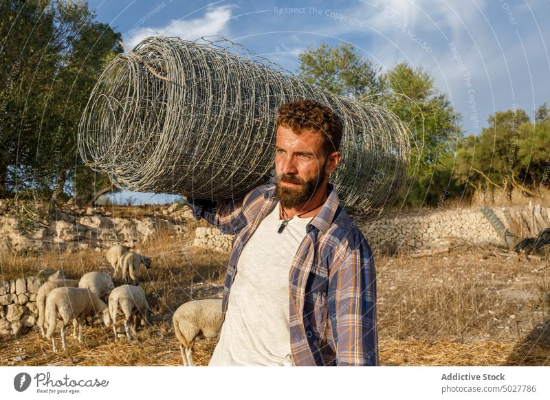 Männlicher Landwirt trägt Maschendraht auf der Schulter Mann führen Draht Zaun rollen Schaf Spaziergang Arbeit Bauernhof männlich Erwachsener Herbst Landschaft