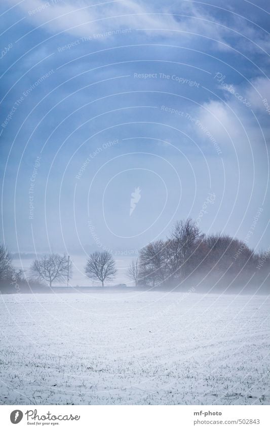 Winterlandschaft Natur Nebel Eis Frost Schnee blau weiß Farbfoto Außenaufnahme Menschenleer Morgen