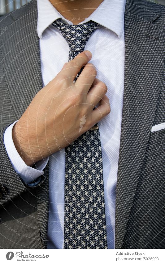 Gepflegter Geschäftsmann im eleganten Anzug stilvoll Krawatte formal Unternehmer Kavalier gut gekleidet Jacke Mann Stil männlich Manager ausrichten respektabel