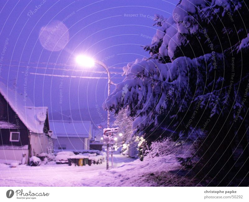 Stark verschneite Straße in der Nacht Winter Schnee Winterurlaub Haus schlechtes Wetter Baum Siegerland Dorf Kleinstadt Einfamilienhaus Wege & Pfade kalt blau