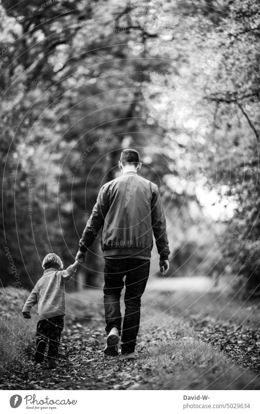 Vater und Kind machen einen Waldspaziergang spazierengehen Papa Sohn zusammen gemeinsam Herbst herbstlich Hand in Hand festhalten Hände vertrauen Spaziergang