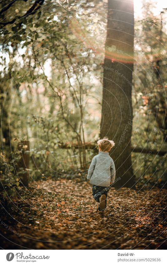 Junge läuft durch den Herbstwald Kind Natur Freude laufen rennen Spaß Bewegung Kindheit Lebensfreude Fröhlichkeit herbstlich Wald Sonnenlicht