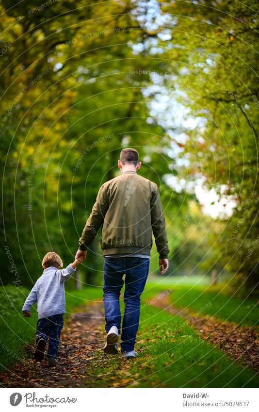 Vater und Kind machen einen Herbstspaziergang durch den Wald Papa Sohn Hand in Hand zusammensein Eltern Zusammensein Natur festhalten