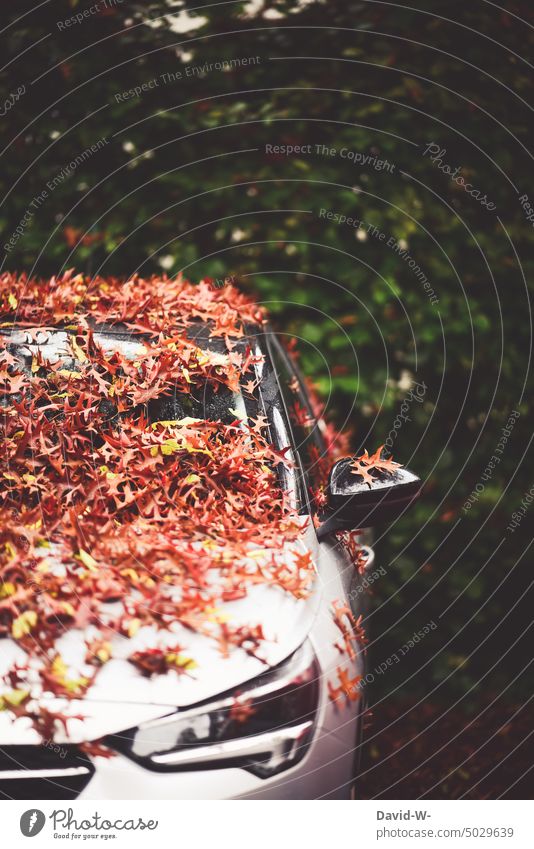 Auto im Herbst bedeckt mit viel Laub Herbstbeginn Blätter Windschutzscheibe herbstlich Jahreszeiten Straßenverkehr Vorsicht Herbststimmung