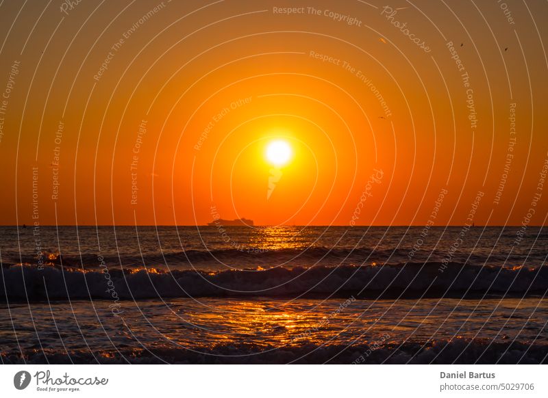 Sonnenuntergang über dem Mittelmeer mit einem Passagierschiff im Hintergrund Strand schön Schönheit Küste Farbe Horizont Landschaft Licht Natur Meer orange