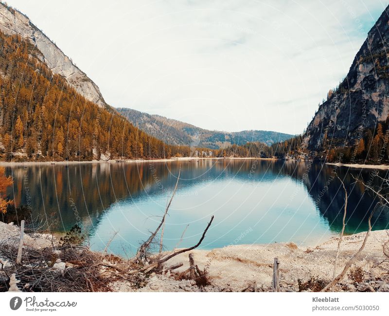 Pragser Wildsee in Südtirol  - im goldenen Oktober - bei niedrigem Wasserstand Herbst goldener Oktober See Spiegelung Jahreszeiten Herbstfärbung Herbstbeginn