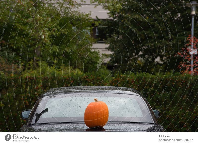 Schöne und ruhige symmetrisch Halloween Komposition mit Auto und Kürbis. Halloween Kürbis orange Herbst Lebensmittel Gemüse Erntedankfest Oktober
