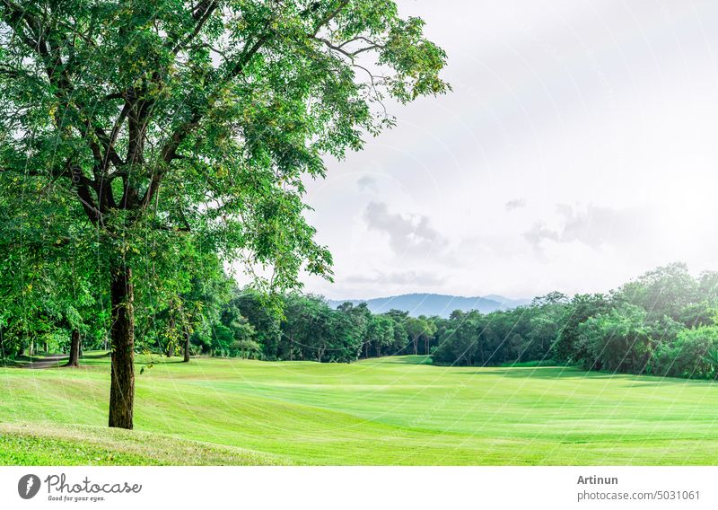 Golfplatz mit grüner Rasenlandschaft. Grünes Grasfeld mit Wald und Berg als Hintergrund. Golfplatz im Hotel oder Resort. Landschaft mit Golfplatz und Bäumen. Grüner Sportplatz. Grünes Feld.