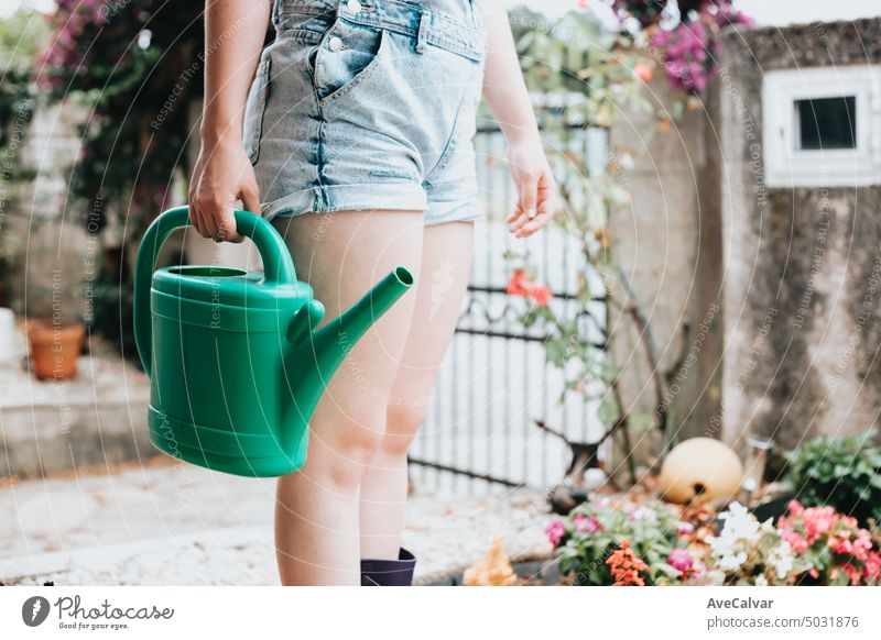 Close up Bild einer Frau Bewässerung Hausgarten während eines sonnigen Tages, Umwelt und Aktivitäten Konzept Vorstadt unkenntlich ornamental Dusche Gießen