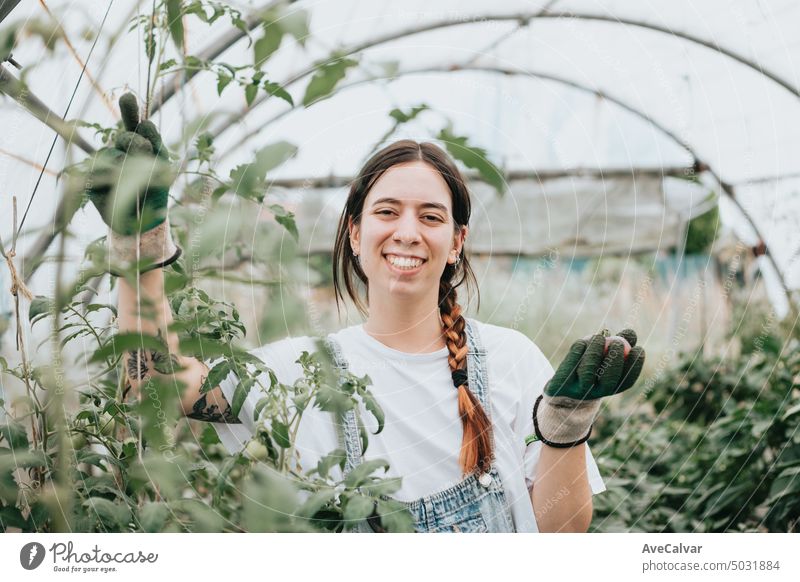 Glückliche junge Arbeiterin, die bei der Arbeit in einem Gewächshaus Gemüse sammelt, neues Arbeitskonzept Person Frau professionell Gartenarbeit Gärtner