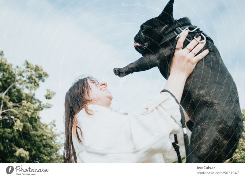 Junge Frau spielt und erhebt ihren Hund Französische Bulldogge im Park, während sie Spaß hat Haustier spielerisch Spielen Person Freundschaft Training