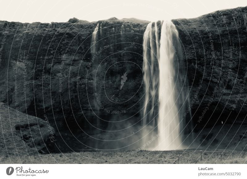 Wenn der Vorhang fällt - Seljalandsfoss Wasserfall Fluss Island Natur wild Felsen natürlich nass Landschaft fließen Kraft gigantisch Urelemente Schlucht
