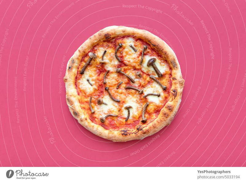 Hausgemachte Pizza auf einem magentafarbenen Hintergrund, Ansicht von oben. Wildpilz-Pizza gebacken Kohlenhydrate Käse Farbe gekocht Kruste Küche lecker