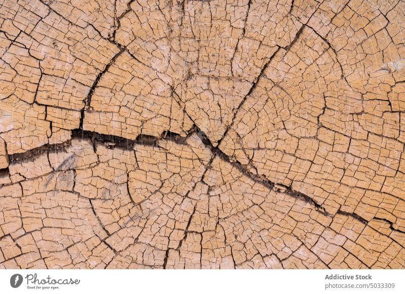 Trockene, rissige Bodenoberfläche in der Wüste Riss wüst Hintergrund trocknen Textur uneben rau Oberfläche braun Schlucht Geologie Formation solide Gelände