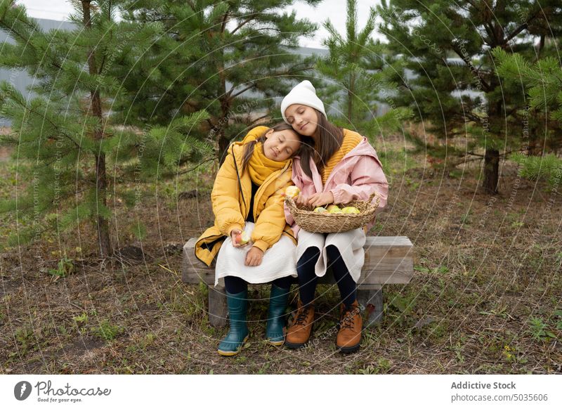 Entspannte Schwestern mit frischen Äpfeln auf einer Bank im Wald Mädchen abholen Apfel Korb Baum Ernte ruhen Inhalt Freund Natur Frucht Park Geschwisterkind