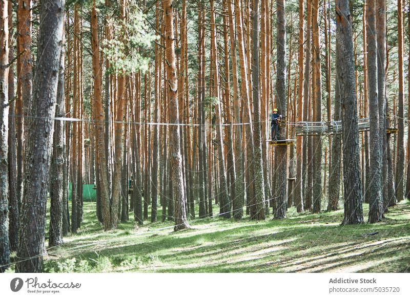 Kind im Hochseilgarten im Wald Seil Hindernis Kurs Baum nadelhaltig Wochenende Sommer Hobby Erholung erkunden Abenteuer Park Seilbahn Herausforderung Wälder