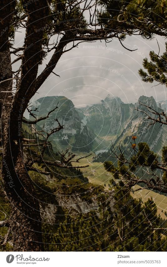Fälensee | Alpstein alpstein hüttntour schweiz wandern appenzellerland gebirgssee berge Farbfoto Alpen Menschenleer Außenaufnahme Umwelt