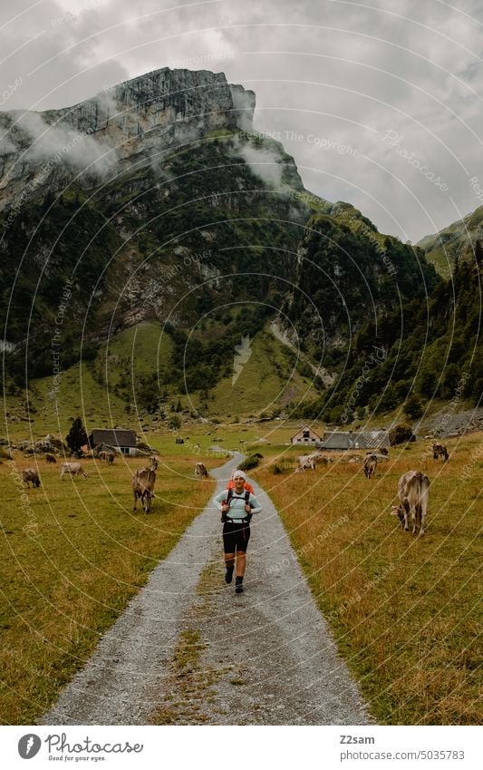 Wandern im Appenzellerland alpstein hüttntour schweiz wandern appenzellerland wanderweg fernwanderweg mehrtagestour Berge u. Gebirge Landschaft Farbfoto