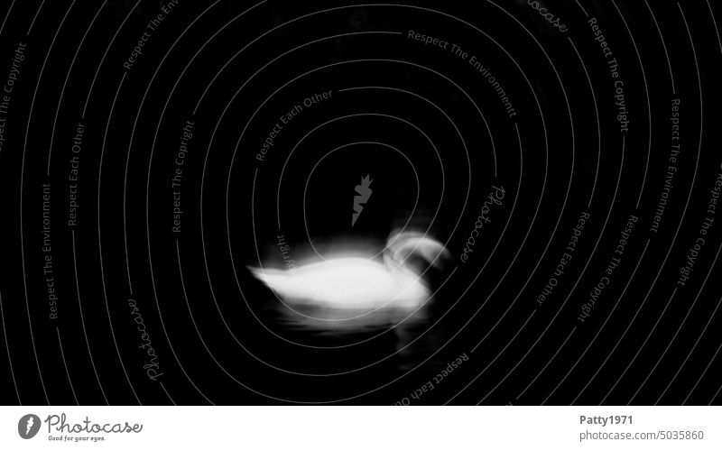 Schwan in abstrakter, bewegungsunscharfer ICM-Technik geheimnisvoll Unschärfe mystisch See abstrakte Fotografie Vogel Wasservogel Teich Bewgungsunschärfe
